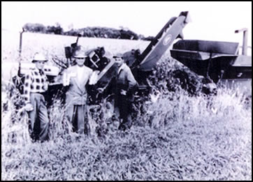 Cliff Bucher, Bert Bucher & neighbor, 1930s